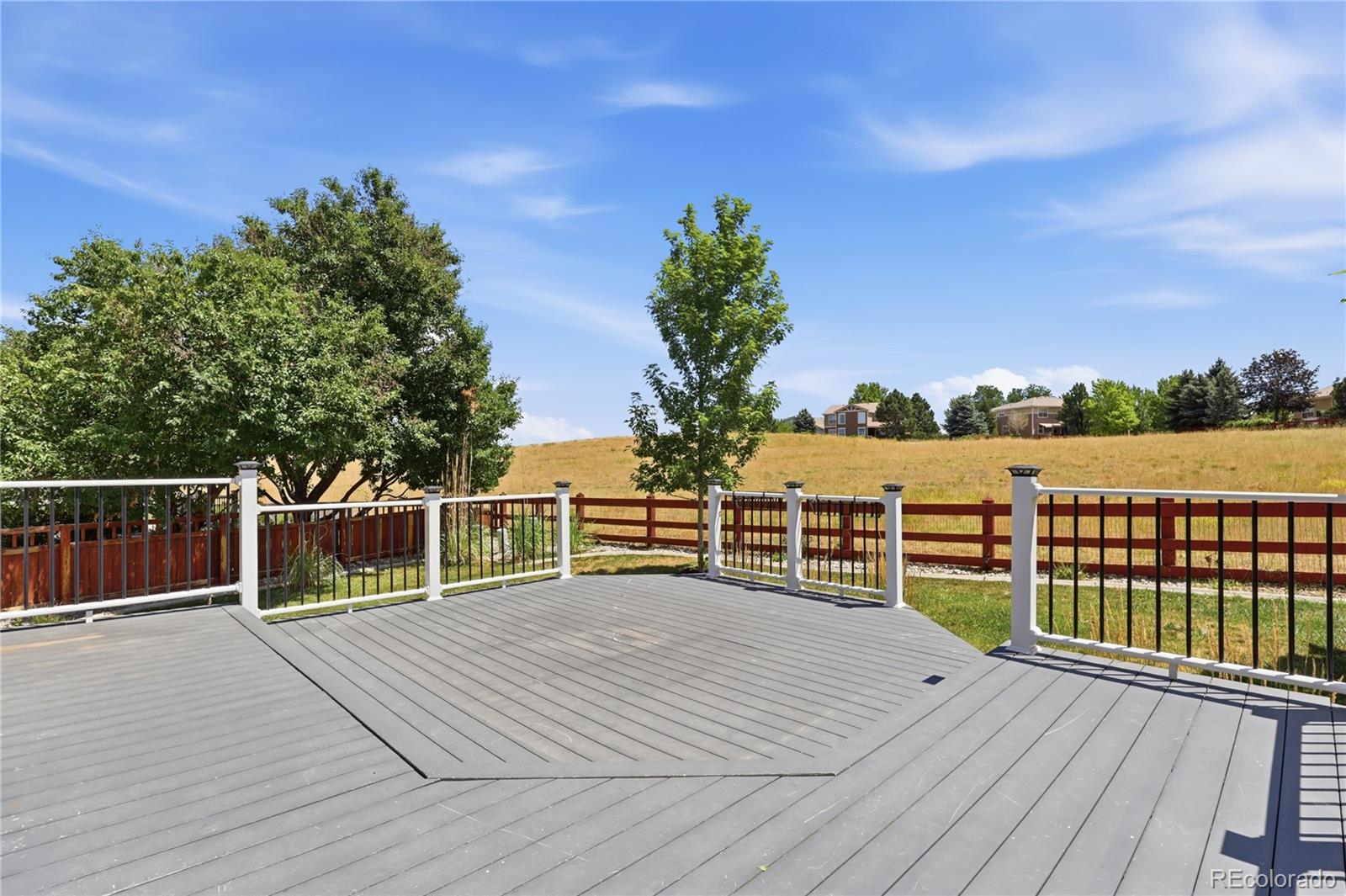 MLS Image #32 for 3678  sunridge terrace drive,castle rock, Colorado
