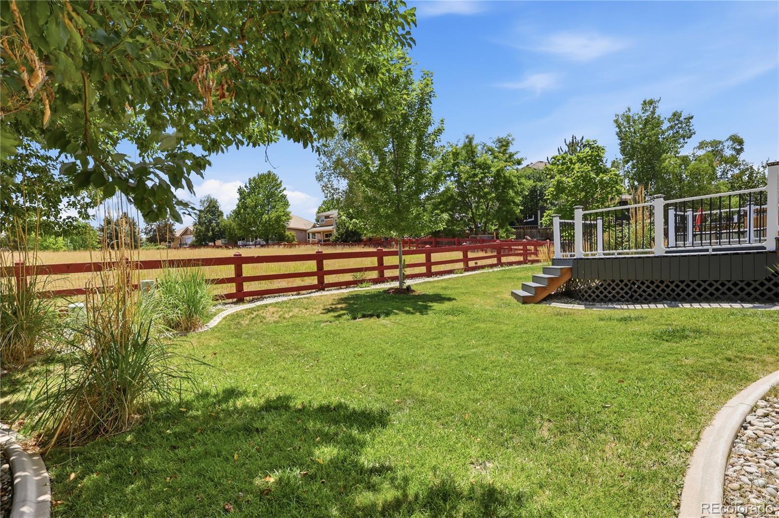 MLS Image #33 for 3678  sunridge terrace drive,castle rock, Colorado