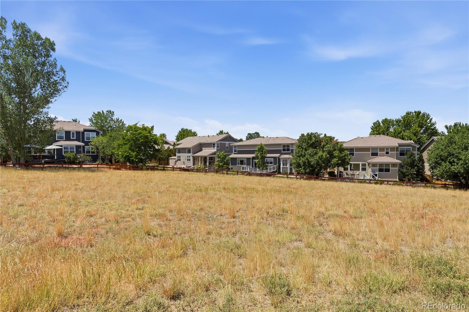 MLS Image #37 for 3678  sunridge terrace drive,castle rock, Colorado