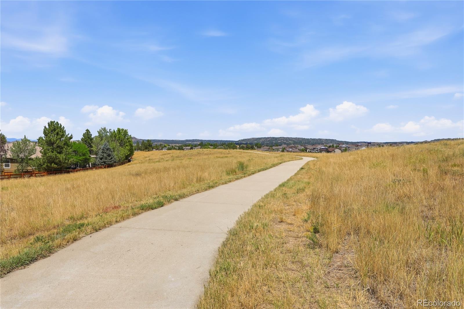 MLS Image #38 for 3678  sunridge terrace drive,castle rock, Colorado