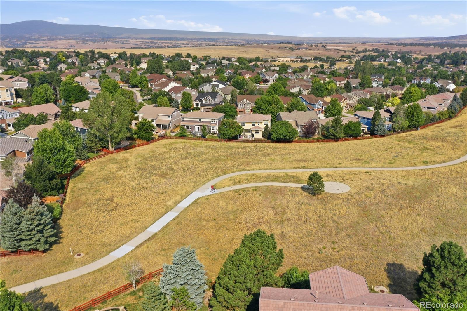 MLS Image #46 for 3678  sunridge terrace drive,castle rock, Colorado