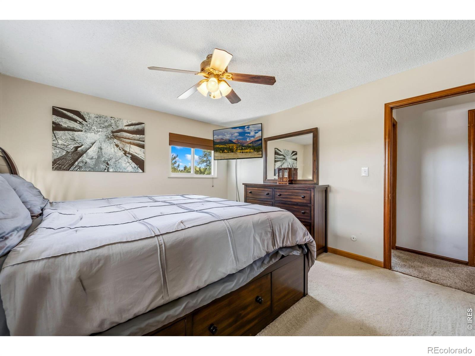 MLS Image #21 for 2701  martingale drive,berthoud, Colorado