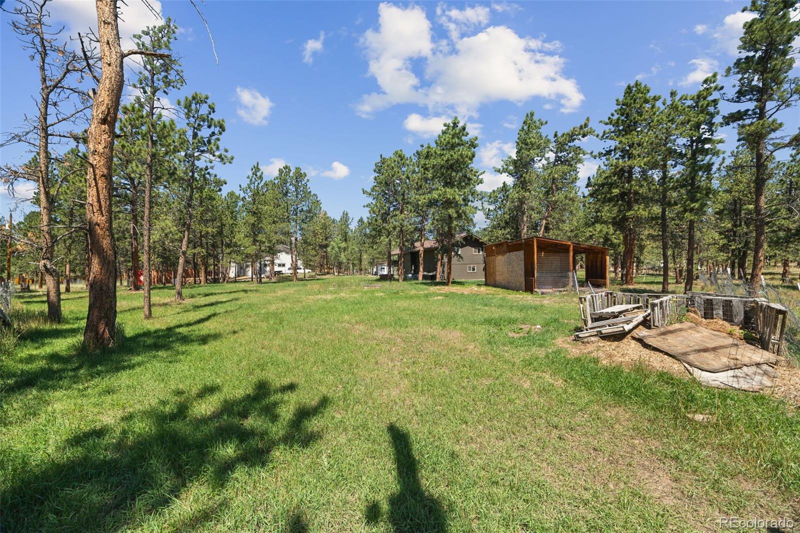 MLS Image #40 for 96  gunsmoke drive,bailey, Colorado