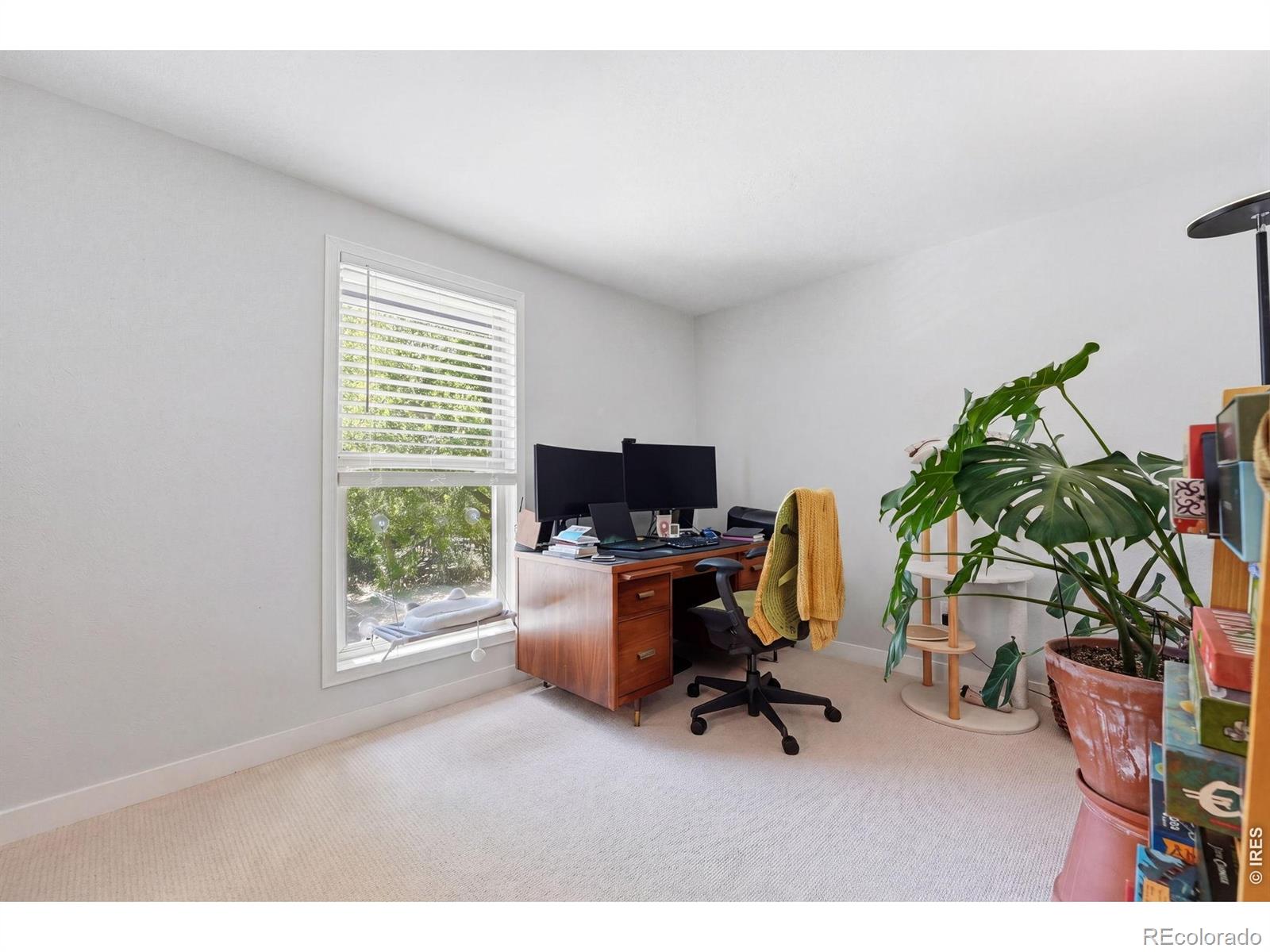 MLS Image #15 for 1185  bear mountain drive,boulder, Colorado