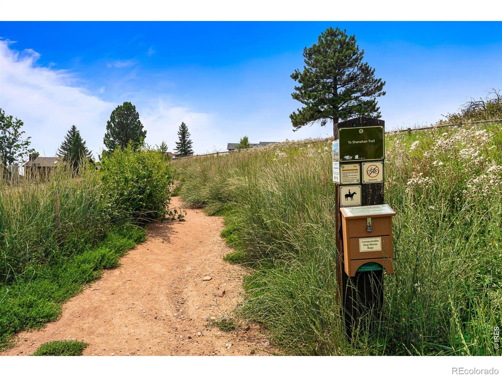 MLS Image #41 for 1185  bear mountain drive,boulder, Colorado