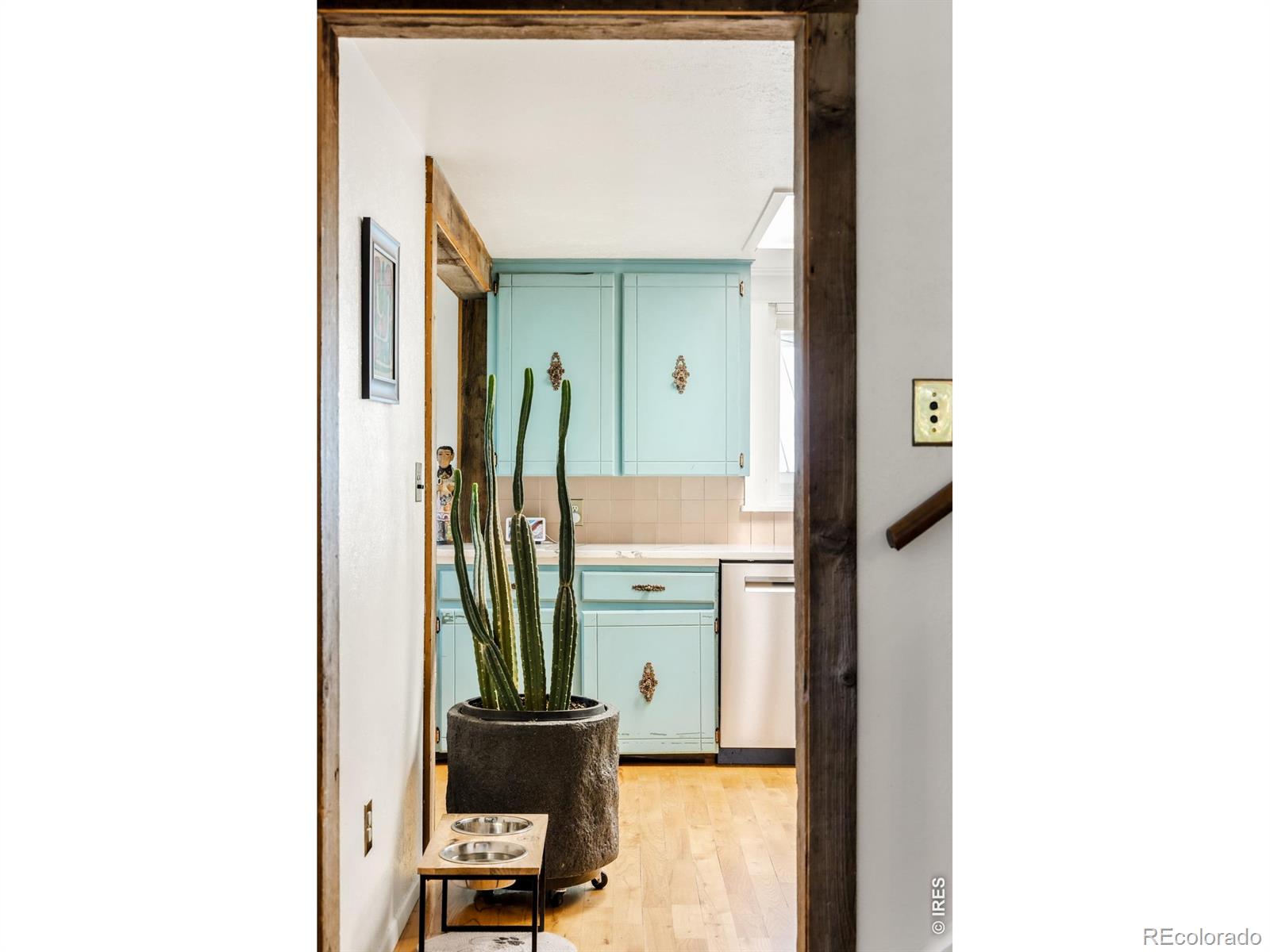 MLS Image #15 for 12252 n 75th street,longmont, Colorado