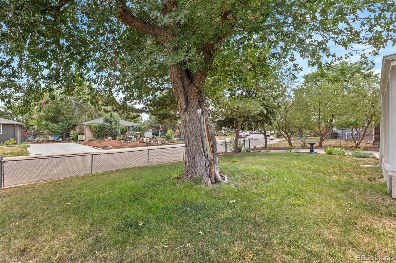 MLS Image #5 for 8855  hastings way,westminster, Colorado