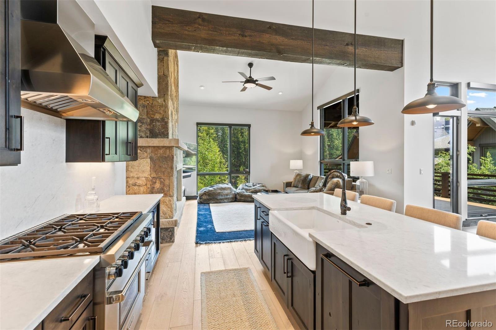 MLS Image #12 for 279  river park drive,breckenridge, Colorado