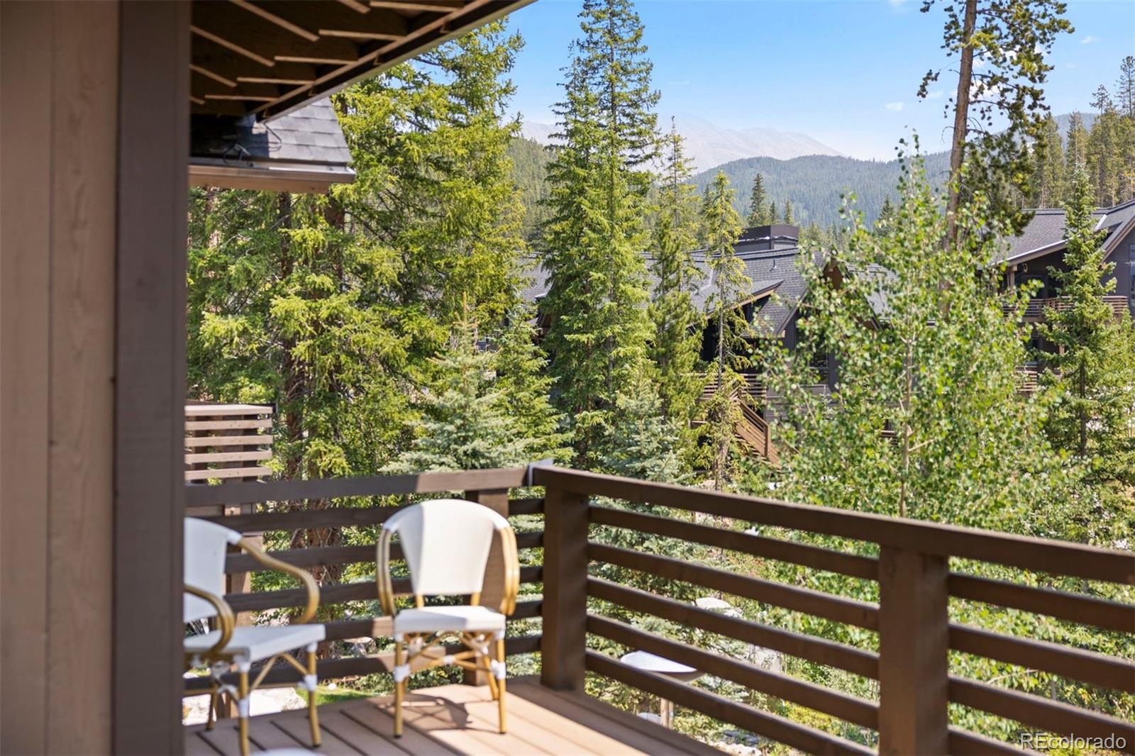 MLS Image #42 for 279  river park drive,breckenridge, Colorado