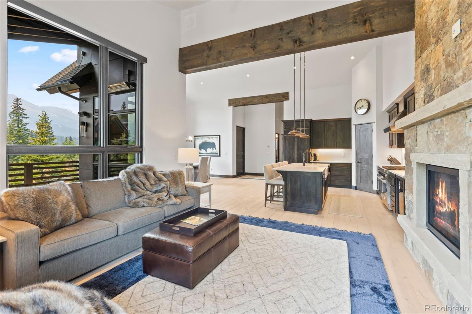 MLS Image #8 for 279  river park drive,breckenridge, Colorado