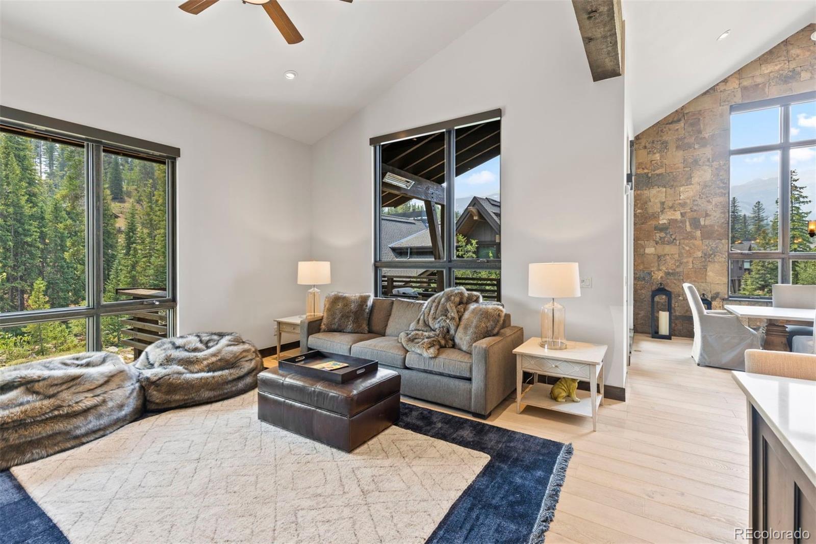 MLS Image #9 for 279  river park drive,breckenridge, Colorado