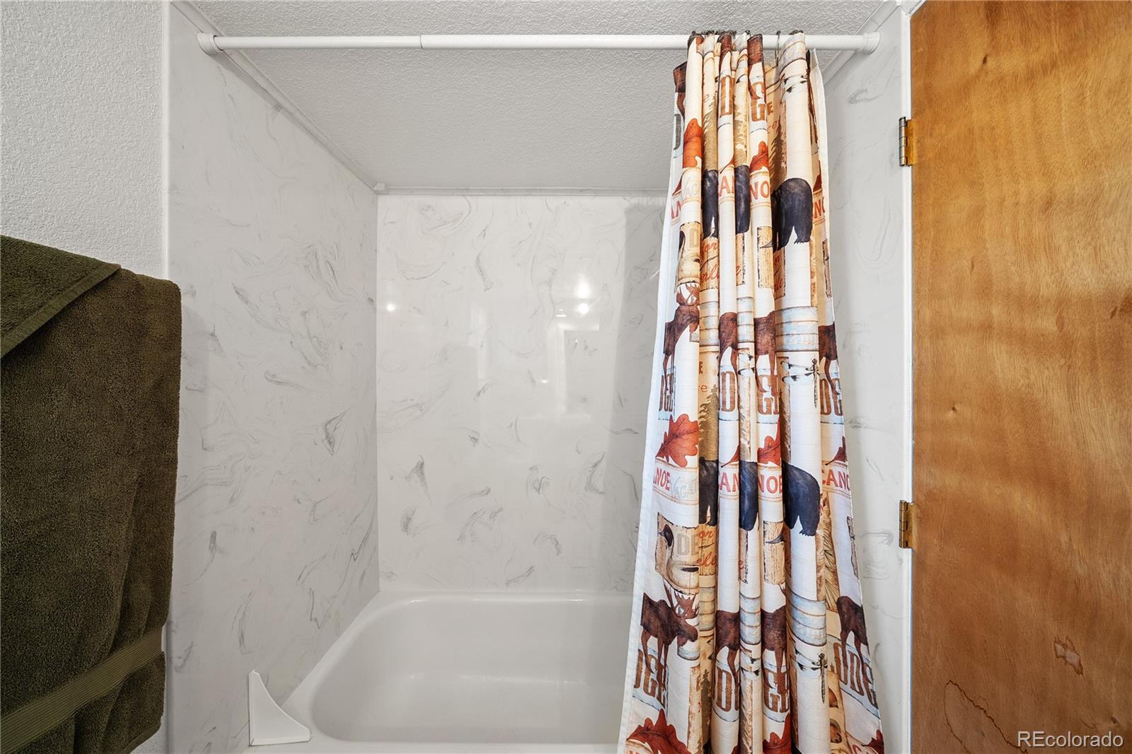 MLS Image #16 for 106  elk drive,bailey, Colorado