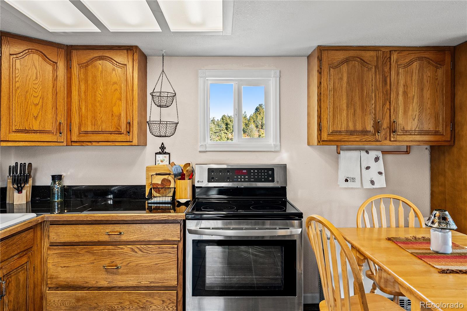 MLS Image #9 for 106  elk drive,bailey, Colorado