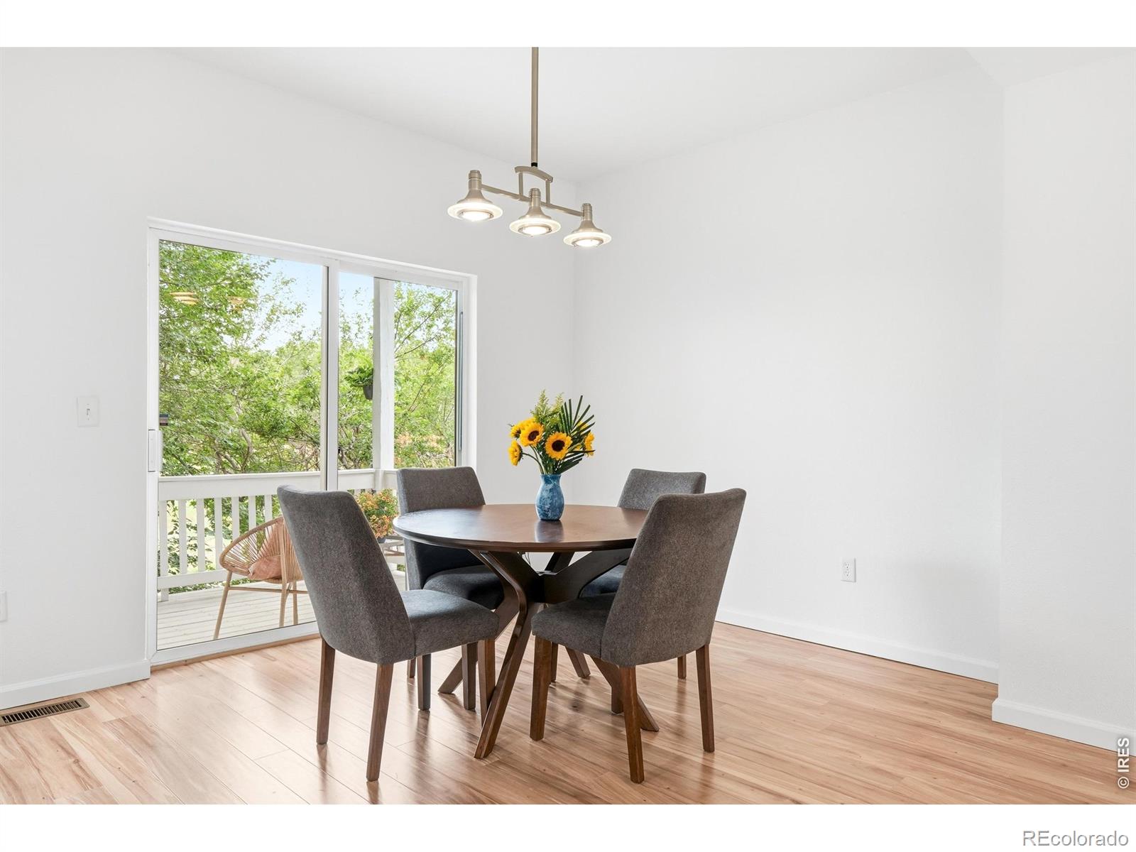 MLS Image #13 for 2413  water cress court,longmont, Colorado