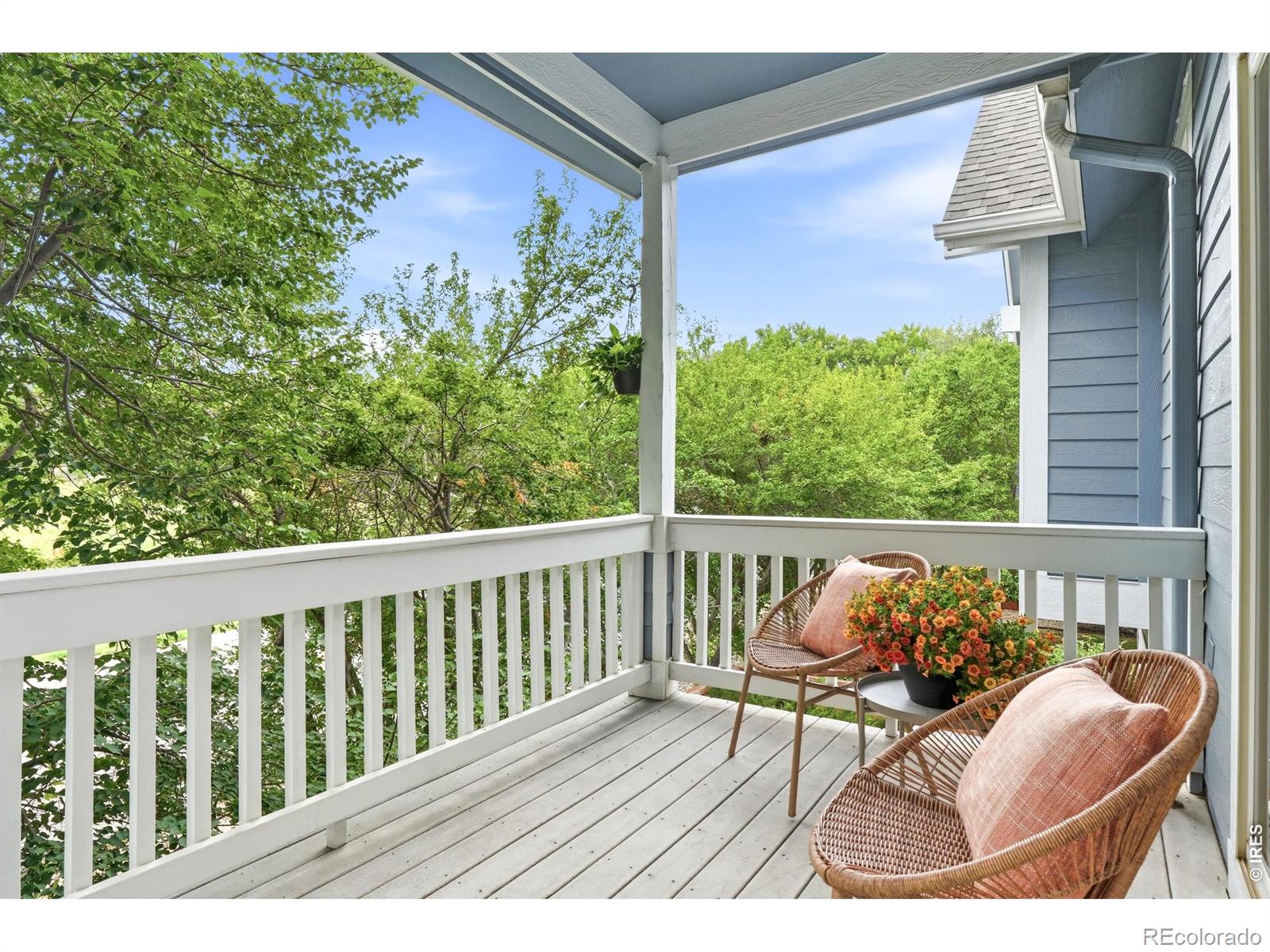 MLS Image #14 for 2413  water cress court,longmont, Colorado
