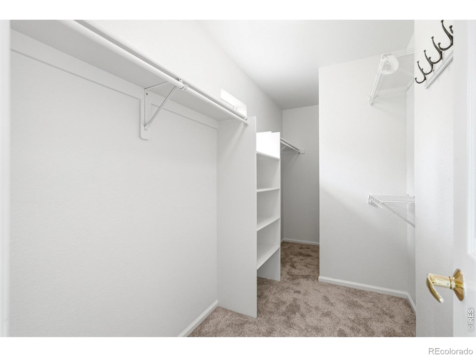 MLS Image #17 for 2413  water cress court,longmont, Colorado