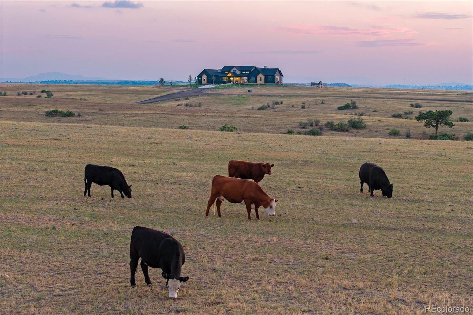 MLS Image #35 for 7497  fox creek trail,franktown, Colorado