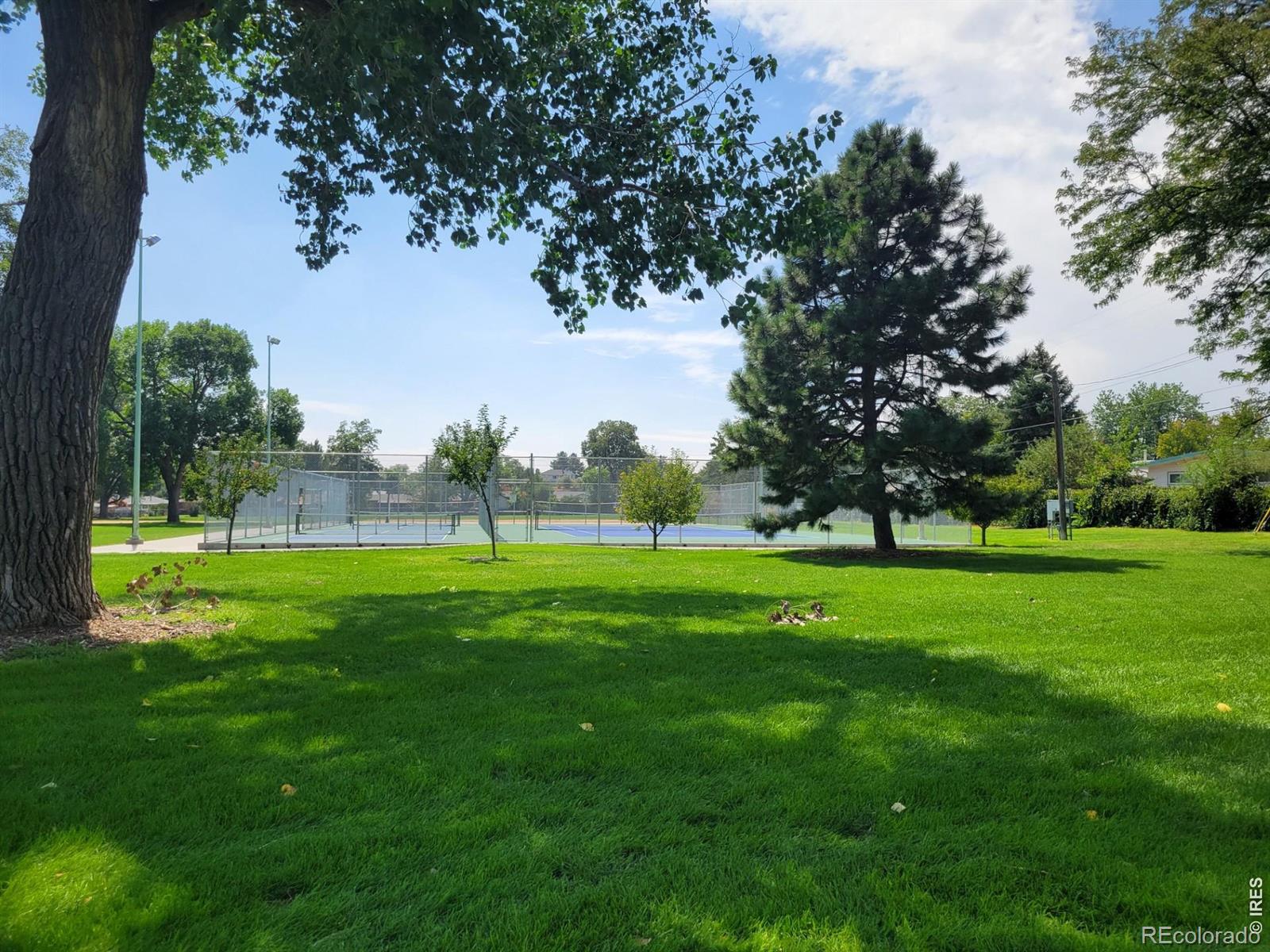 MLS Image #32 for 2543  14th avenue,greeley, Colorado