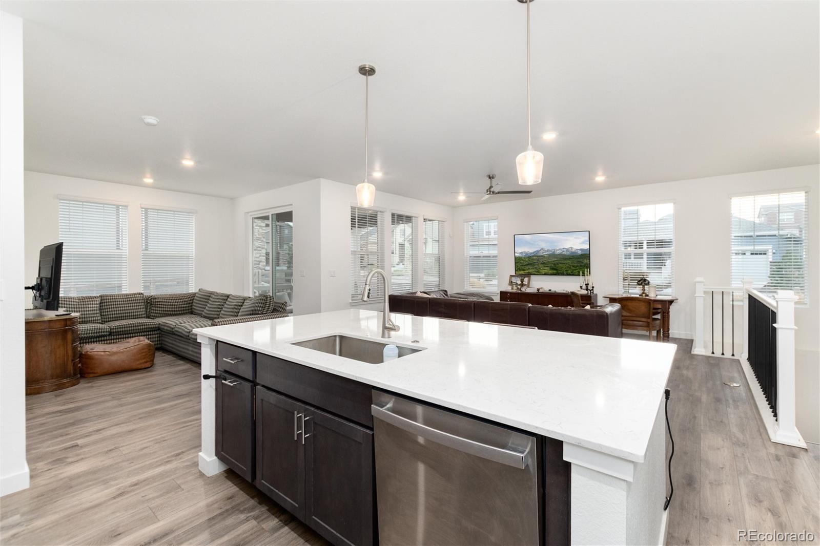 MLS Image #17 for 9562  byers peak street,littleton, Colorado