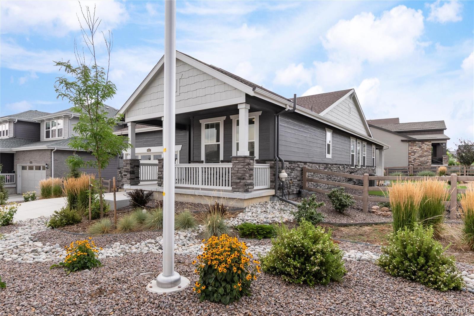 MLS Image #2 for 9562  byers peak street,littleton, Colorado