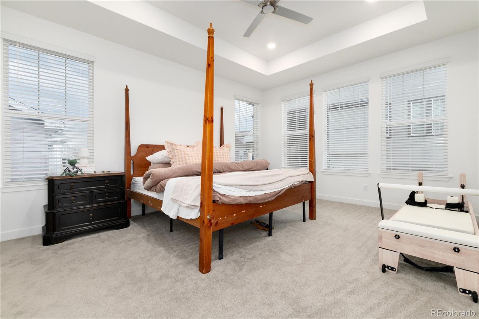 MLS Image #21 for 9562  byers peak street,littleton, Colorado