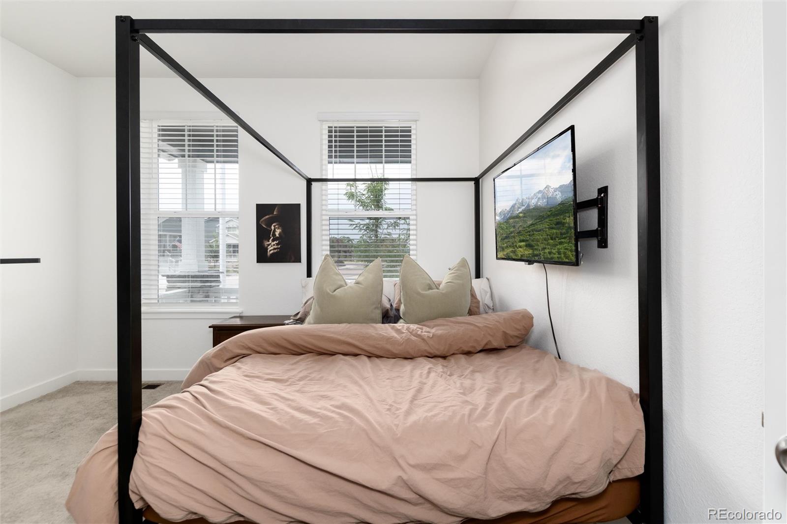 MLS Image #26 for 9562  byers peak street,littleton, Colorado