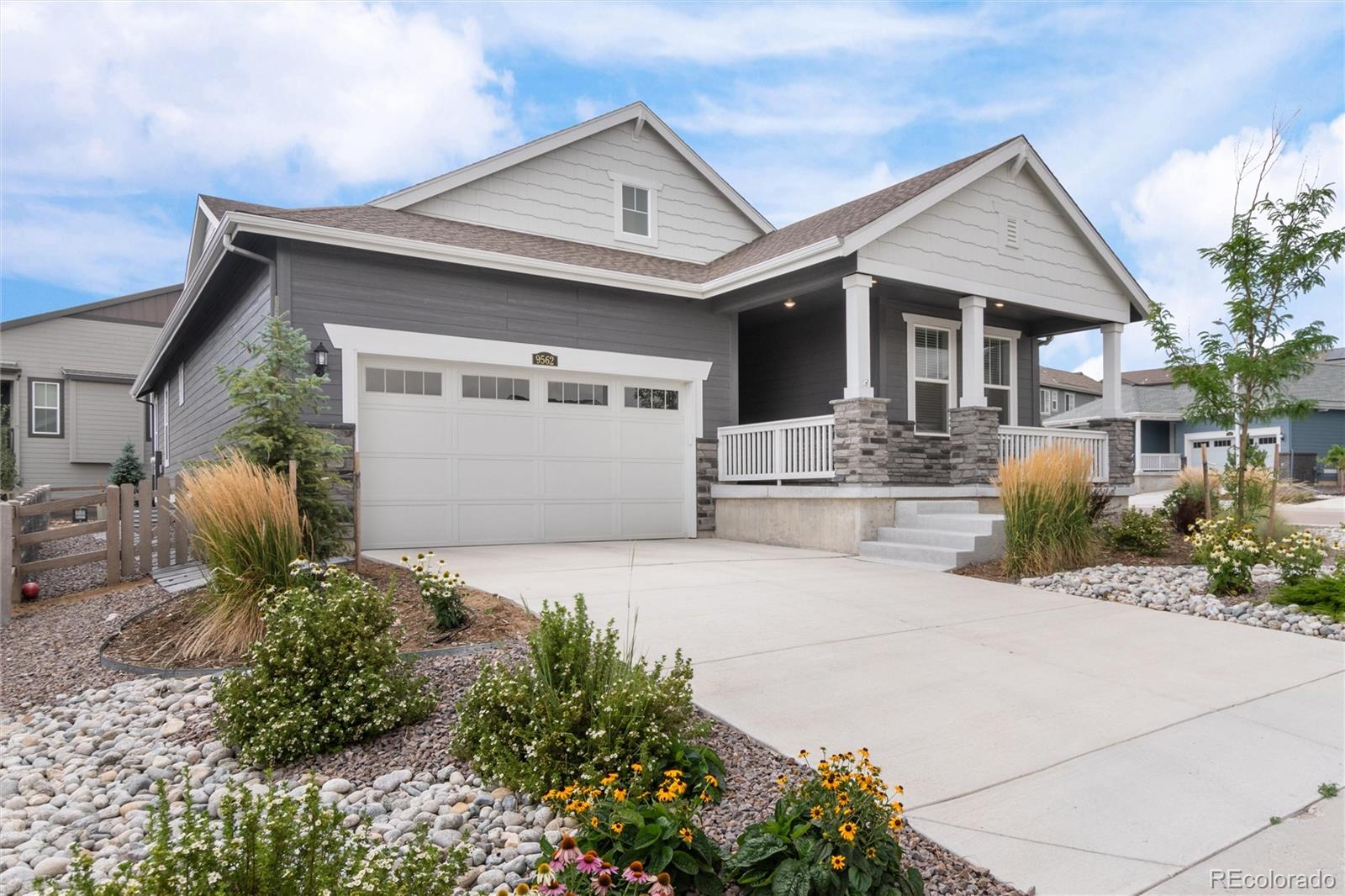 MLS Image #4 for 9562  byers peak street,littleton, Colorado