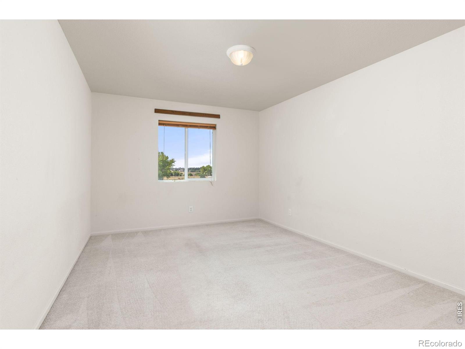 MLS Image #20 for 2021  falcon ridge drive,fort collins, Colorado