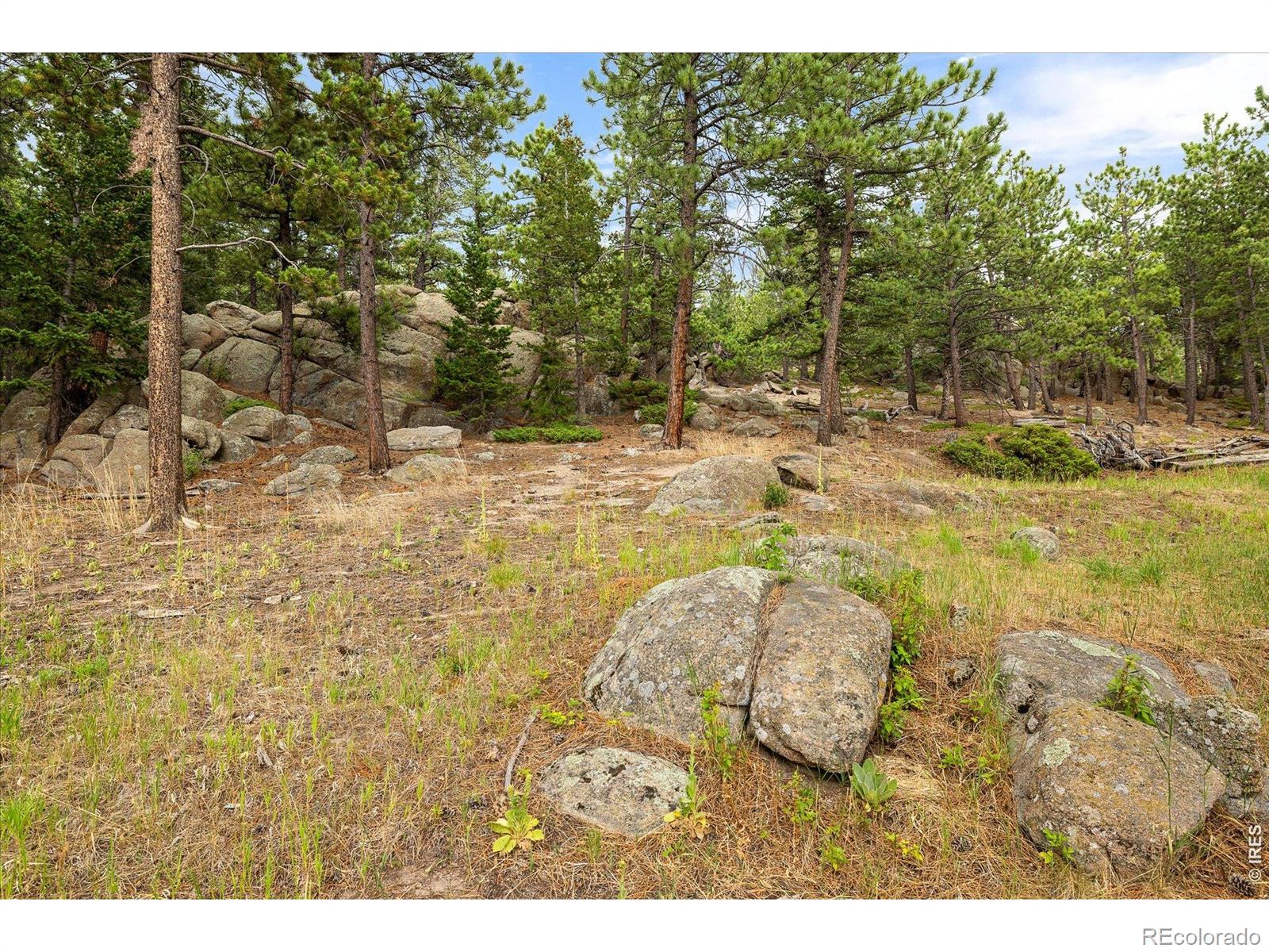 MLS Image #36 for 11988  begole circle,golden, Colorado