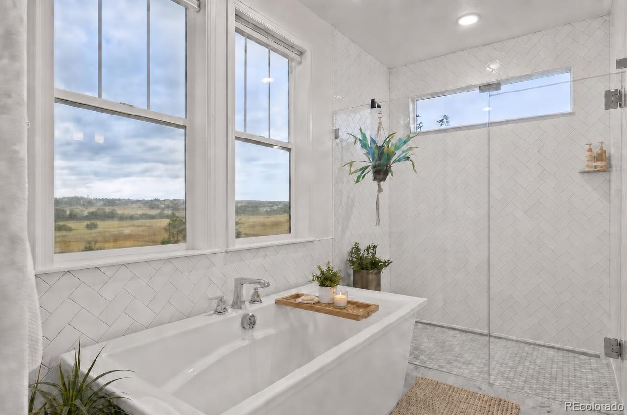 MLS Image #15 for 8833  red primrose street,franktown, Colorado