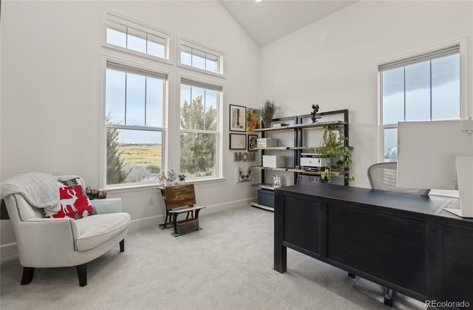MLS Image #5 for 8833  red primrose street,franktown, Colorado
