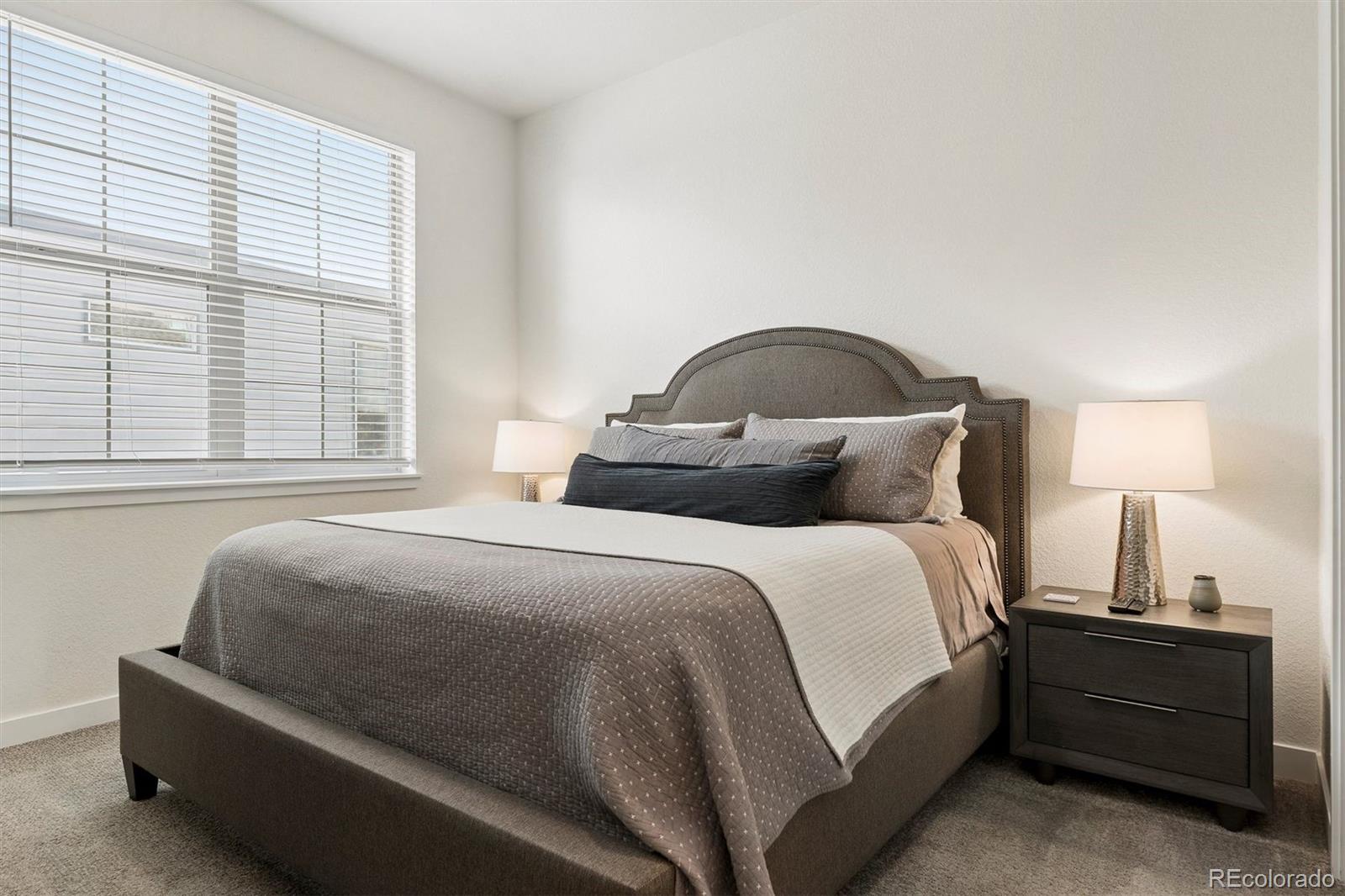 MLS Image #14 for 9519  boone lane,littleton, Colorado