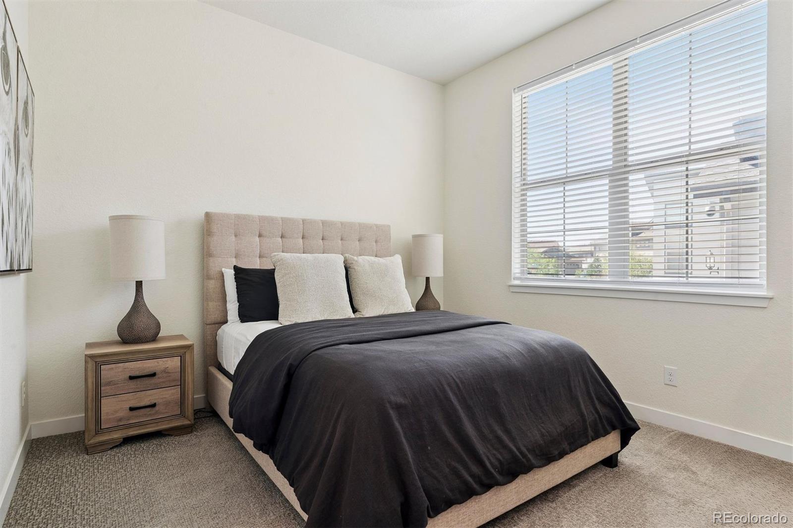 MLS Image #16 for 9519  boone lane,littleton, Colorado
