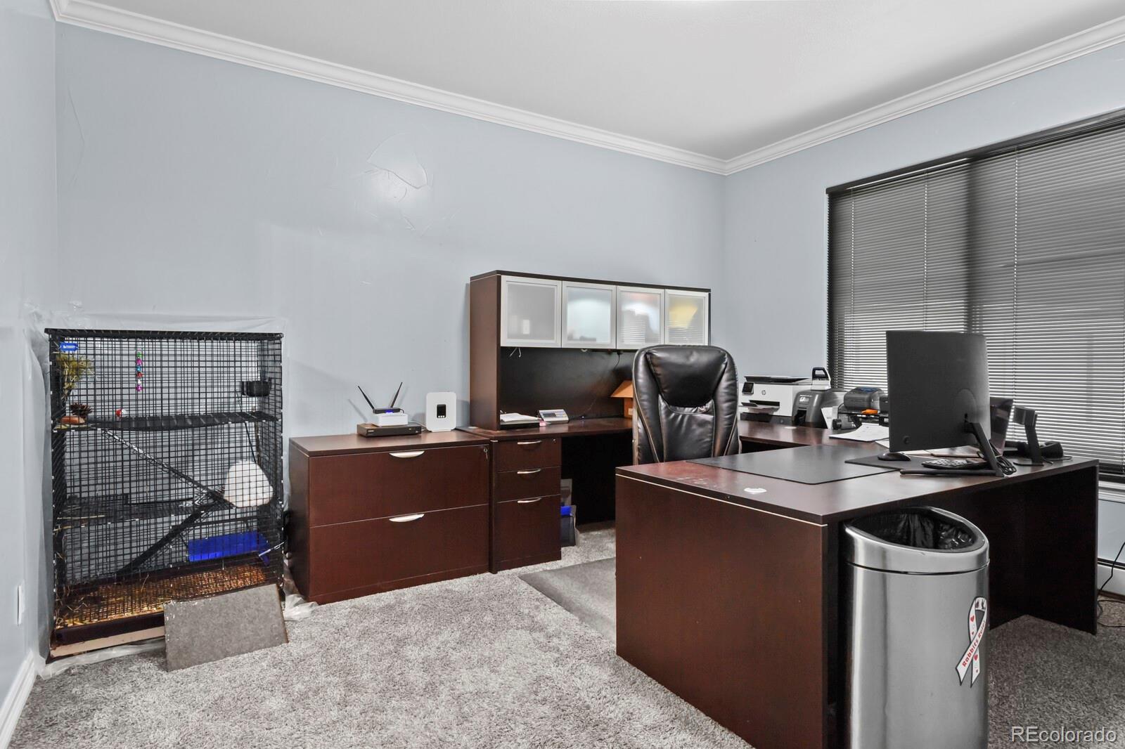 MLS Image #35 for 4351  stone post drive,castle rock, Colorado