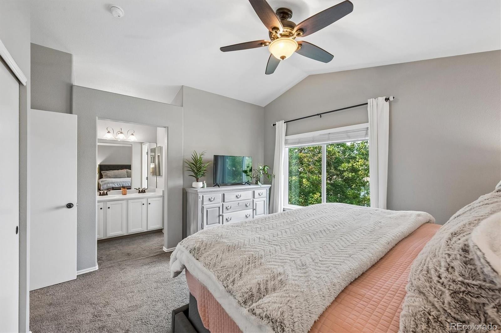 MLS Image #15 for 16287  blueleaf place,parker, Colorado