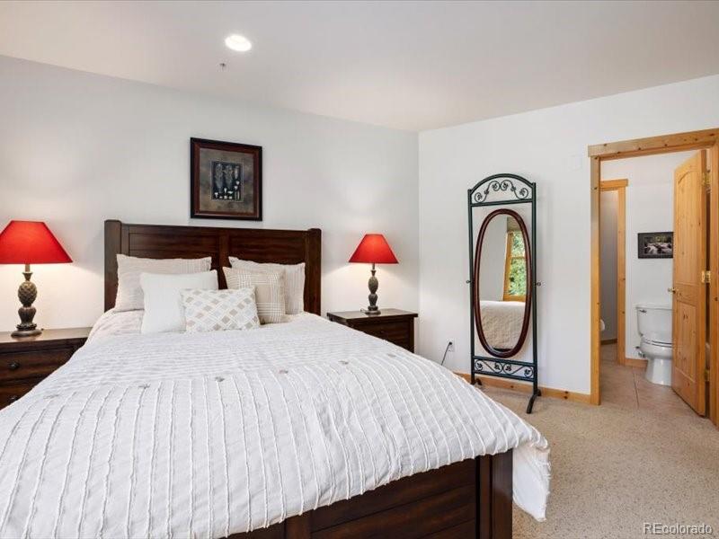 MLS Image #10 for 337  streamside lane,frisco, Colorado