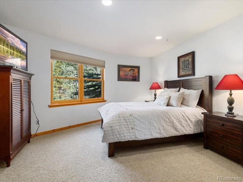 MLS Image #12 for 337  streamside lane,frisco, Colorado