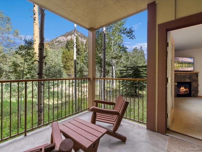 MLS Image #16 for 337  streamside lane,frisco, Colorado