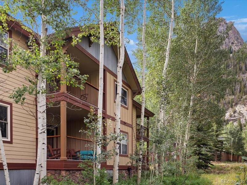MLS Image #17 for 337  streamside lane,frisco, Colorado