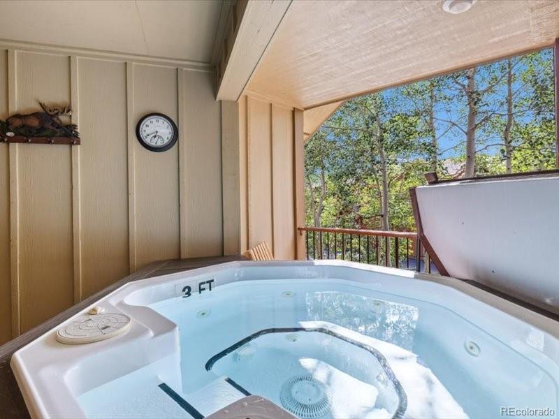 MLS Image #18 for 337  streamside lane,frisco, Colorado