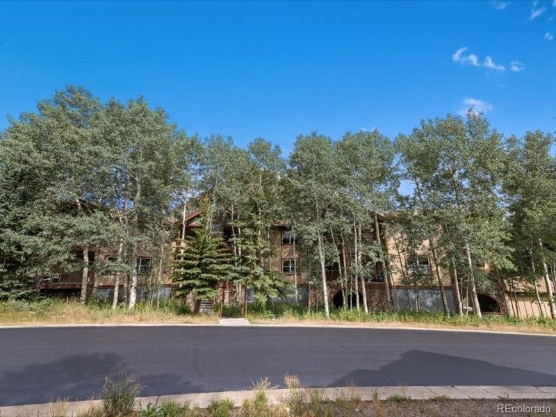 MLS Image #20 for 337  streamside lane,frisco, Colorado