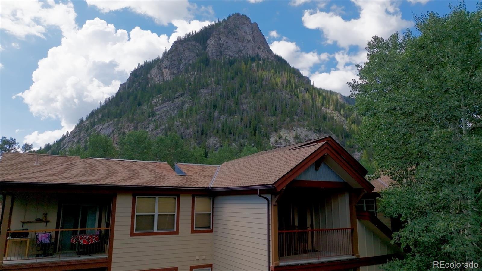 MLS Image #24 for 337  streamside lane,frisco, Colorado