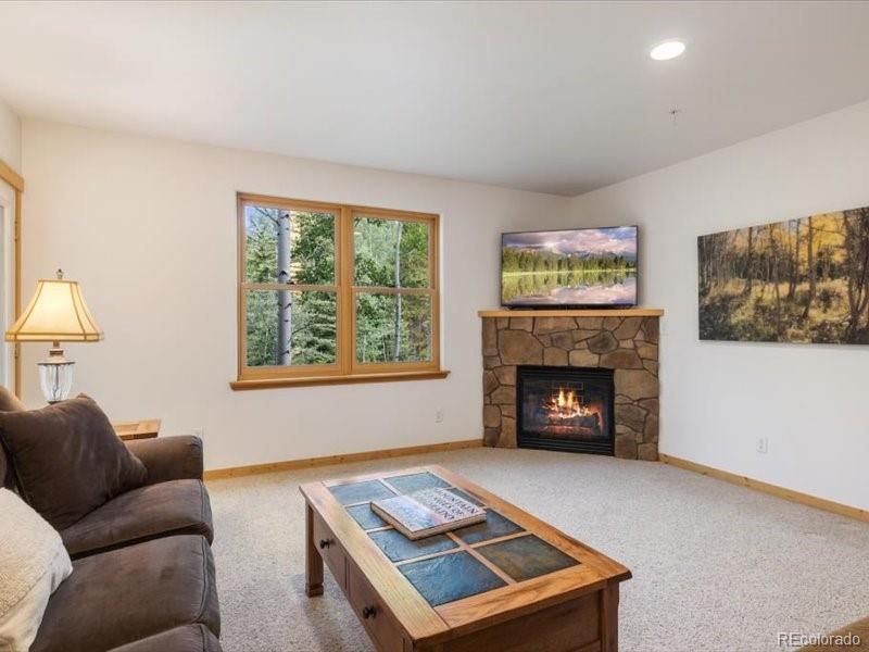 MLS Image #4 for 337  streamside lane,frisco, Colorado