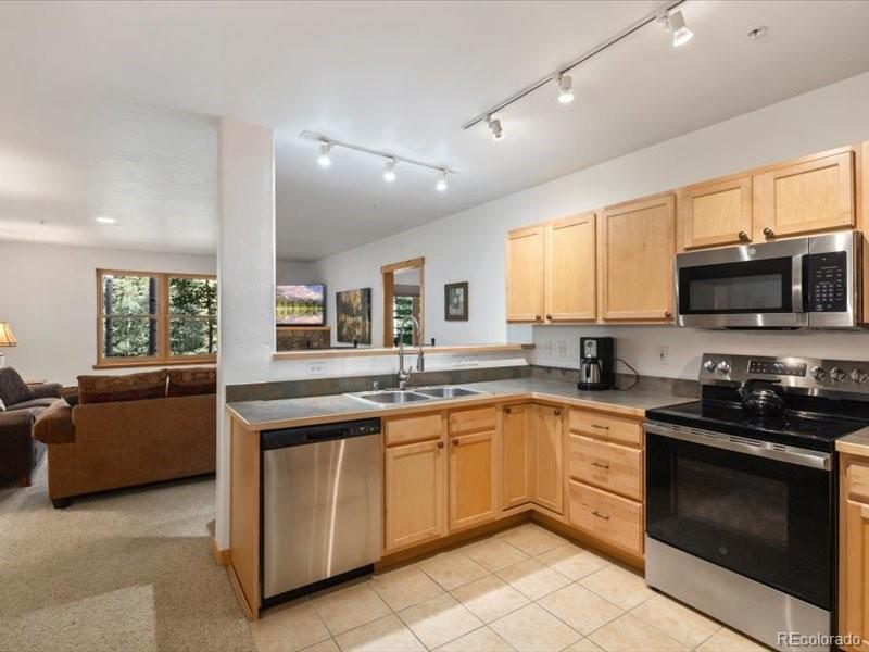 MLS Image #8 for 337  streamside lane,frisco, Colorado