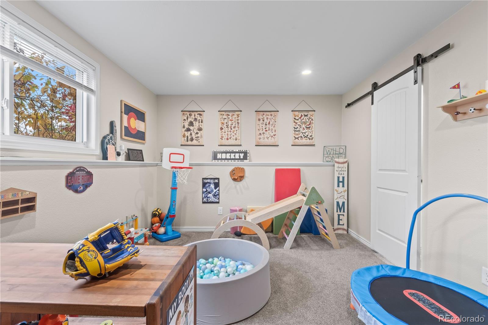 MLS Image #16 for 1739 s california avenue,loveland, Colorado