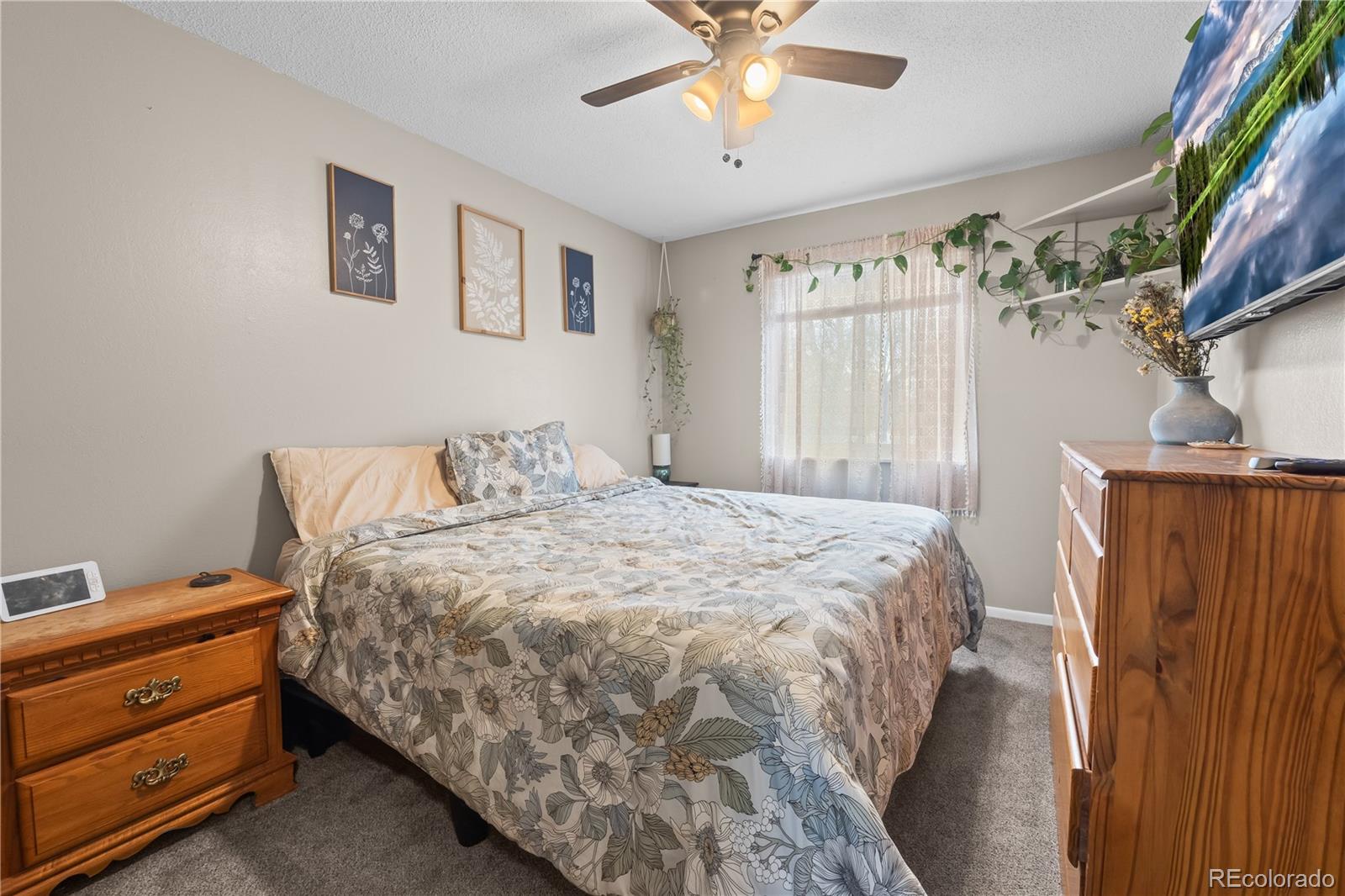 MLS Image #31 for 1739 s california avenue,loveland, Colorado