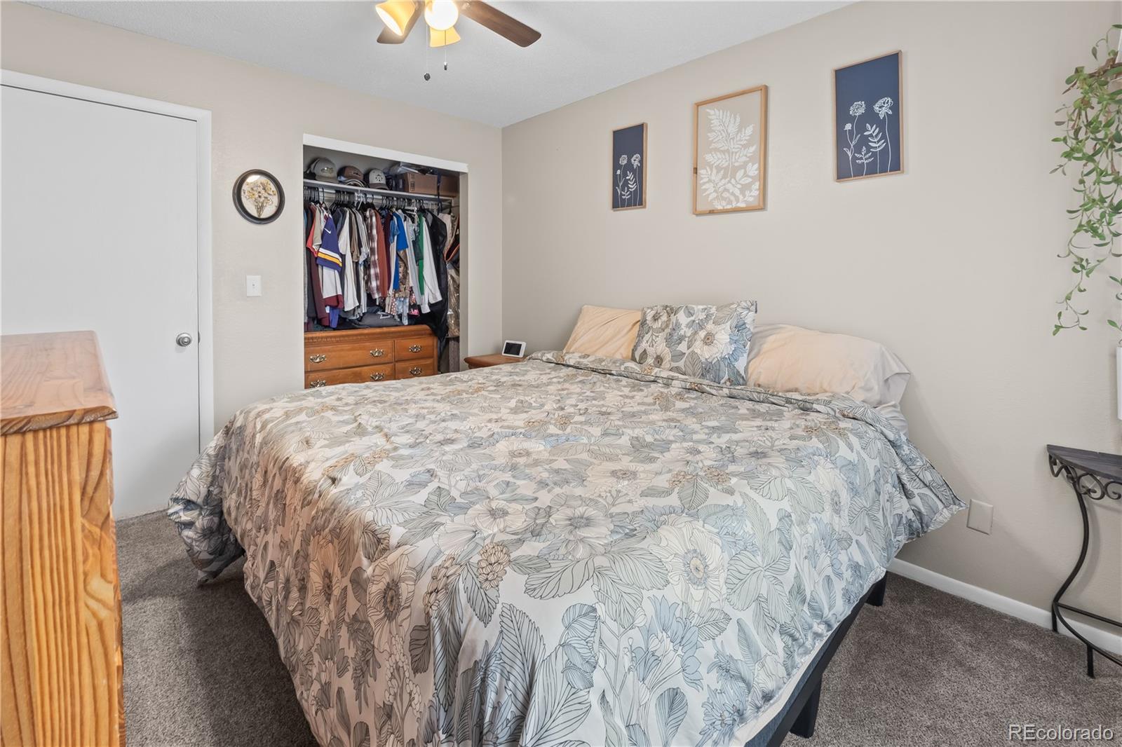 MLS Image #33 for 1739 s california avenue,loveland, Colorado