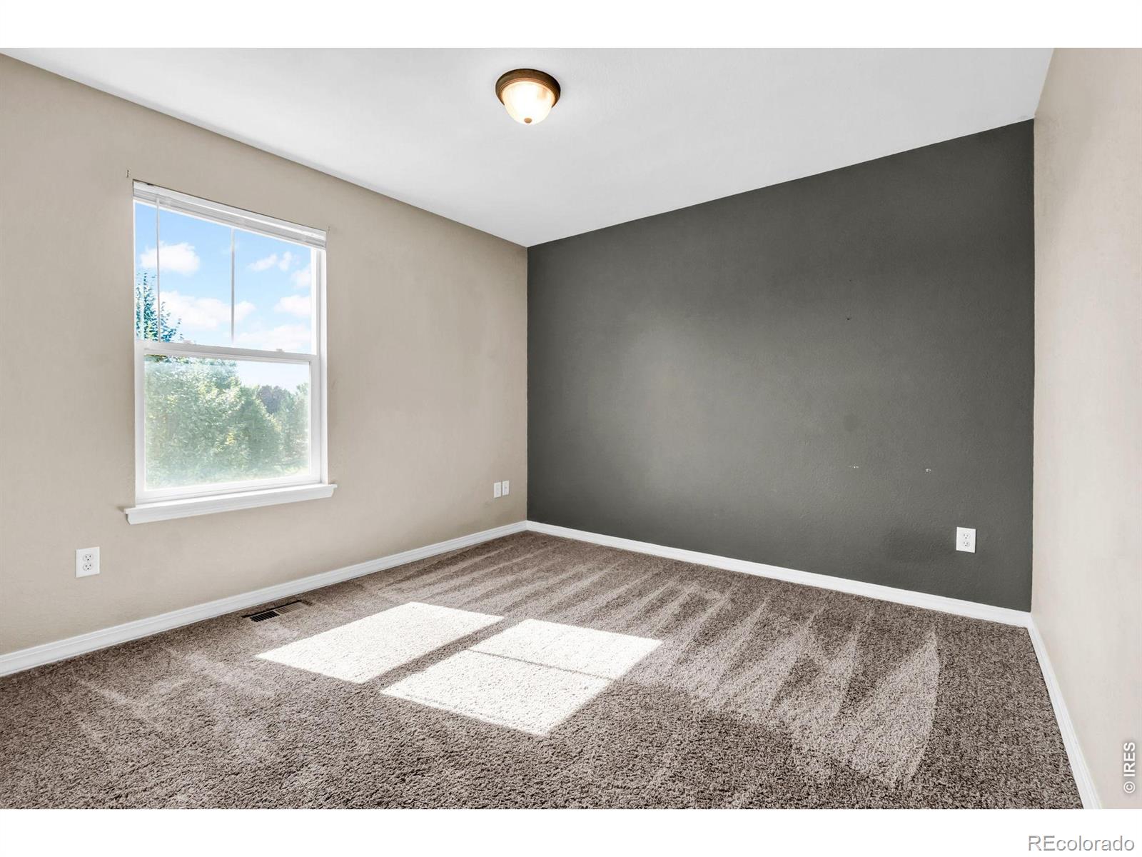MLS Image #11 for 2339  windrow drive,fort collins, Colorado