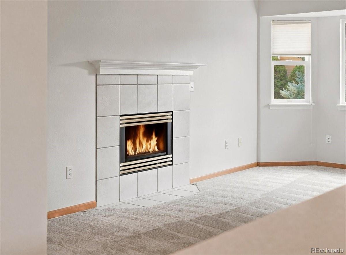 MLS Image #17 for 509  radiant drive ,loveland, Colorado