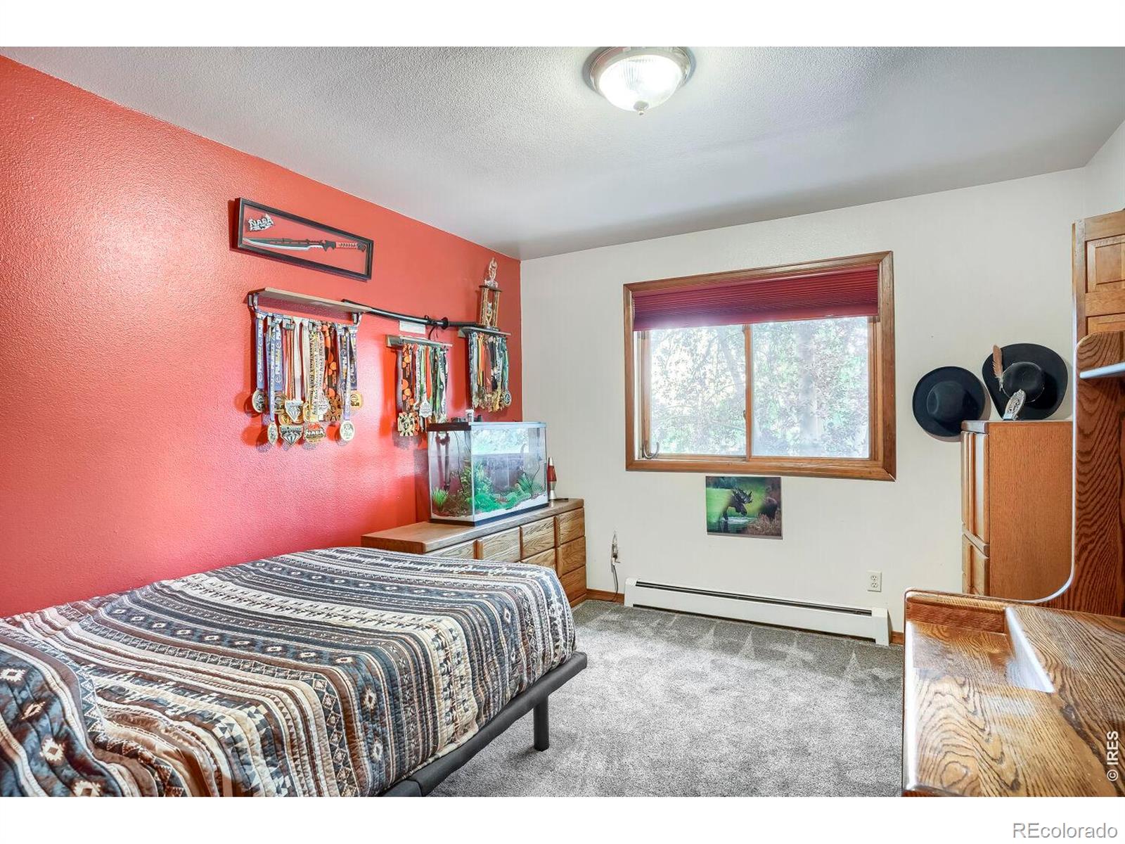 MLS Image #18 for 8125  woodland road,longmont, Colorado